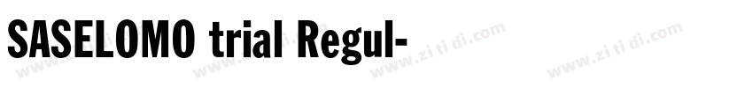 SASELOMO trial Regul字体转换